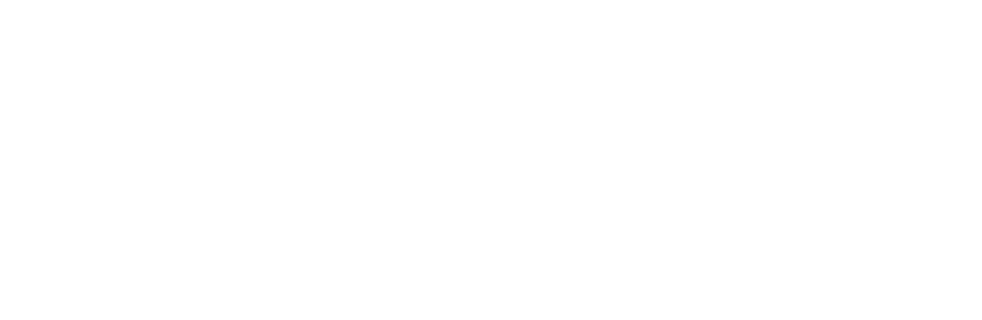 Local Gov LIVE logo